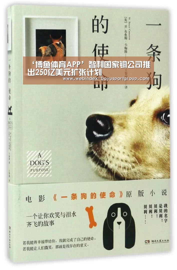 博鱼体育APP