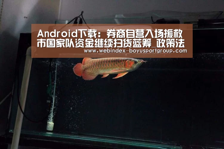 Android下载:券商自营入场援救市国家队资金继续扫货蓝筹_政策法规_新闻_矿道网(图3) iOS下载