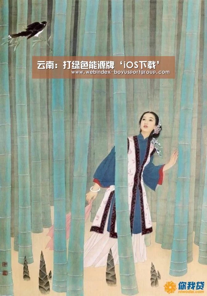 云南:打绿色能源牌‘iOS下载’(图3) 官方应用