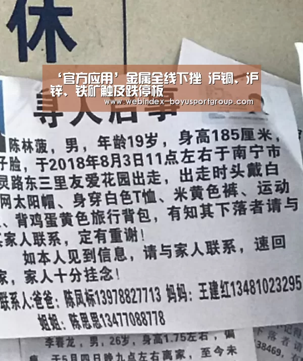 ‘官方应用’金属全线下挫 沪铜、沪锌、铁矿触及跌停板